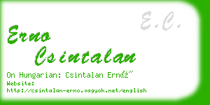 erno csintalan business card